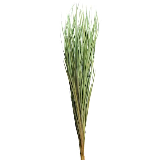 8 Pack: Green Magnolia Flax Grass Bundle by Ashland&#xAE;